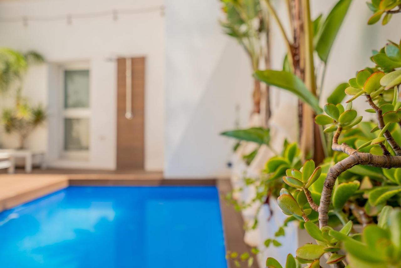 Vlvilla - Villa De Lujo En Valencia Con Piscina Privada Y Sala De Cine Burjassot Eksteriør bilde